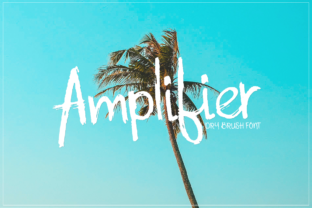 Amplifier Font: A Dry Brush Script Handwritten Typeface for Relaxed Digital Branding