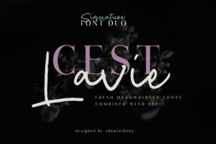 Cest Lavie Duo: A Handwritten Serif Font for Life’s Balanced Moments