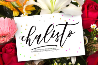 Chalisto: A Script Handwritten Font That Elevates Real Small Business Branding
