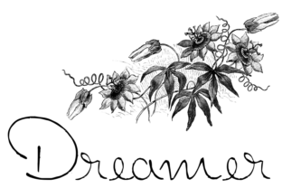 Dreamer Script Font for Editorial Warmth and Sincerity