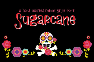 Sugarcane Font: A Whimsical Script Handwritten Typeface for Youthful Branding