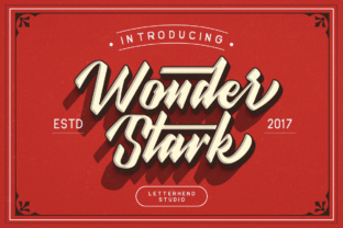 Wonder Stark: A Bold Script Handwritten Font for Real Business Branding